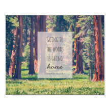 Going to the Woods | Poster