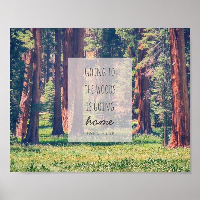 Going to the Woods | Poster (Front)
