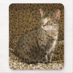 Going Wild ;-) Mouse Pad