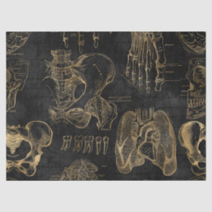 Gold Anatomy Drawings on Black Decoupage Tissue Paper