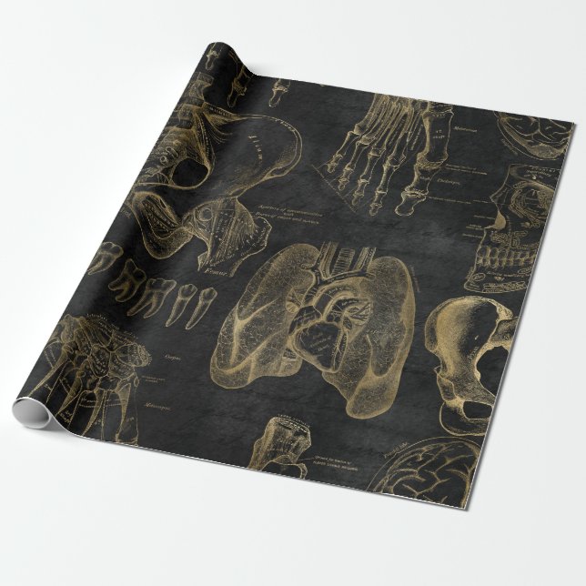 Gold Anatomy Drawings on Black Wrapping Paper (Unrolled)