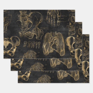 Gold Anatomy Drawings on Black Wrapping Paper Sheet
