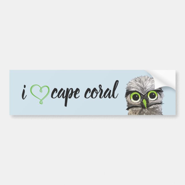 Gold and Silver Burrowing Owl Bumper Sticker (Front)