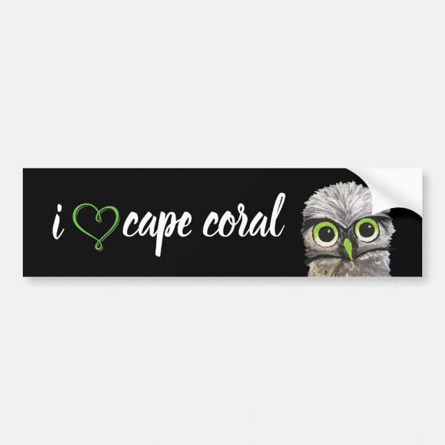 Gold and Silver Burrowing Owl Bumper Sticker (Front)