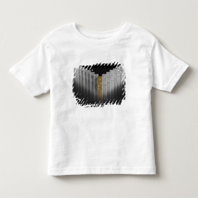 Gold and silver dominoes toddler T-Shirt (Front)