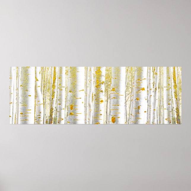 Gold and White Birch Tree Forest Poster (Front)
