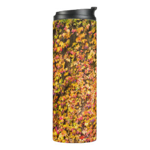 Gold autumn colours ivy wall thermal tumbler