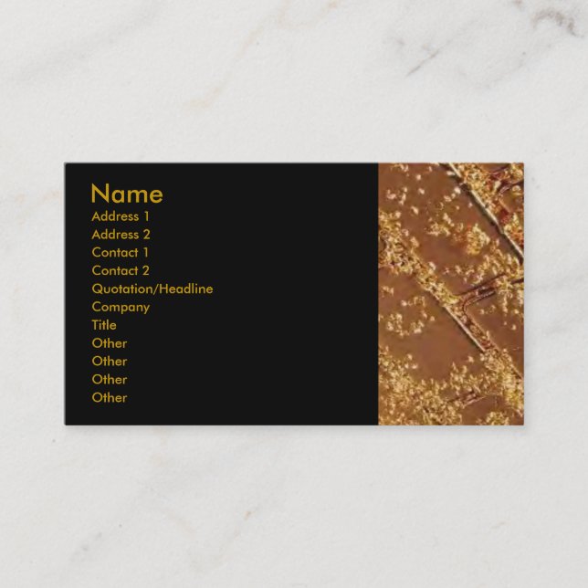 Gold Bars Business Card (Front)