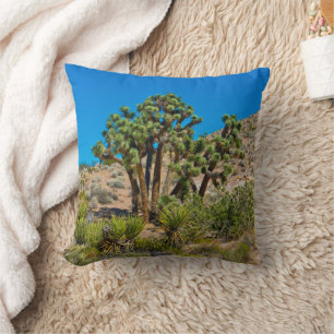Gold Butte National Monument Cushion