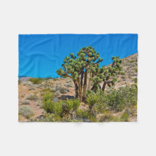 Gold Butte National Monument Fleece Blanket