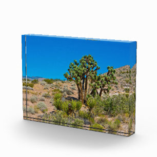 Gold Butte National Monument Photo Block