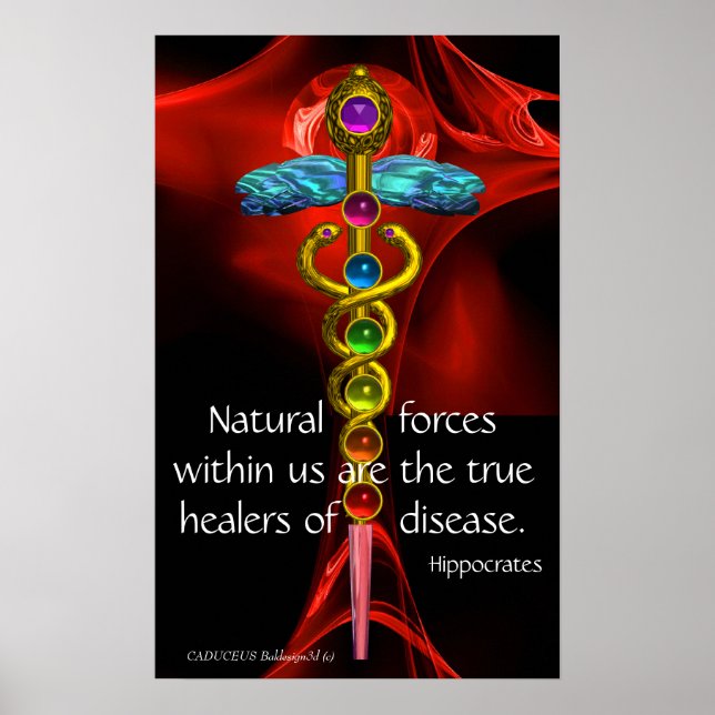 GOLD CADUCEUS, 7 CHAKRAS, RED ROSE Medical,Yoga Poster (Front)