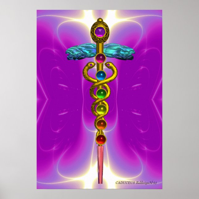 GOLD CADUCEUS 7 CHAKRAS,Yoga,Medical  Pink Fuchsia Poster (Front)