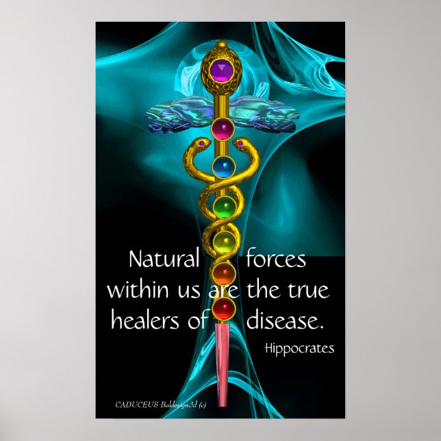 GOLD CADUCEUS AND 7 CHAKRAS IN BLUE FRACTAL ROSE POSTER (Front)