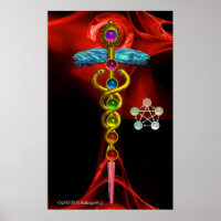 GOLD CADUCEUS AND 7 CHAKRAS IN RED FRACTAL ROSE