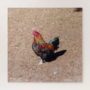 Gold Cockerel Rooster jigsaw puzzle