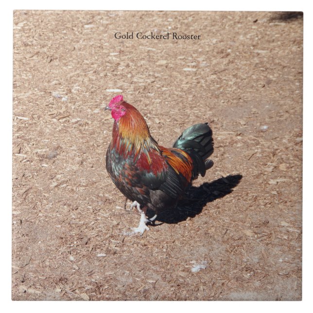 Gold Cockerel Rooster tile (Front)