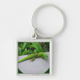 Gold Dust Day Gecko – Audition and Get Some Gecko Key Ring