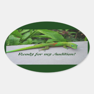 Gold Dust Day Gecko – Audition and Get Some Gecko Oval Sticker
