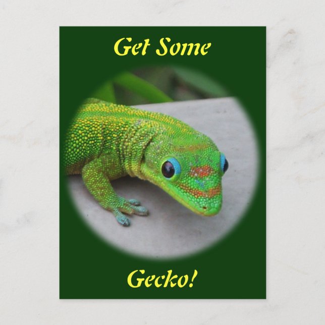 Gold Dust Day Gecko – Audition and Get Some Gecko Postcard (Front)