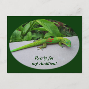 Gold Dust Day Gecko – Audition and Get Some Gecko Postcard