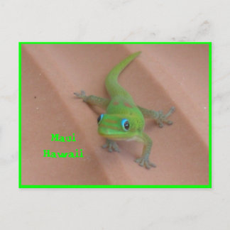 Gold Dust Day Gecko Postcard