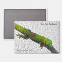 Gold Dust Day Gecko Refrigerator Magnet