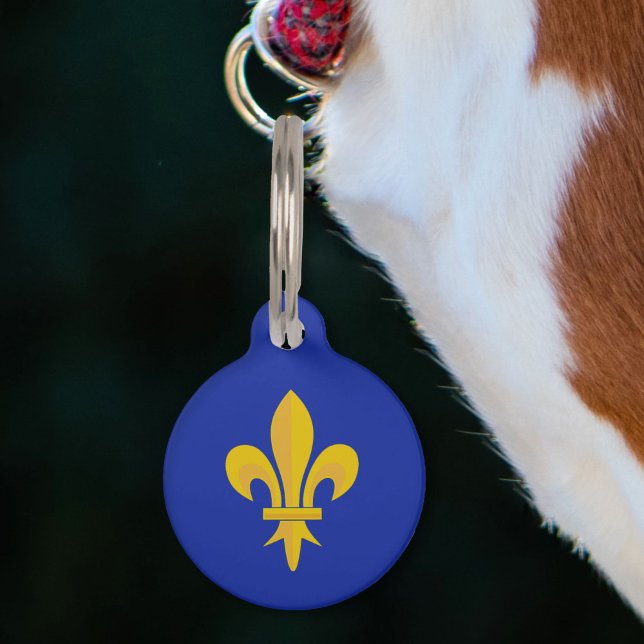Gold Fleur de Lis on Royal Blue Pet Tag (Gold Fleur de Lis on Royal Blue Pet ID Tag)