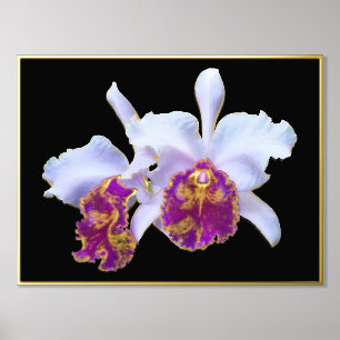 Gold Foil Accent Pair White Purple Orchids Print