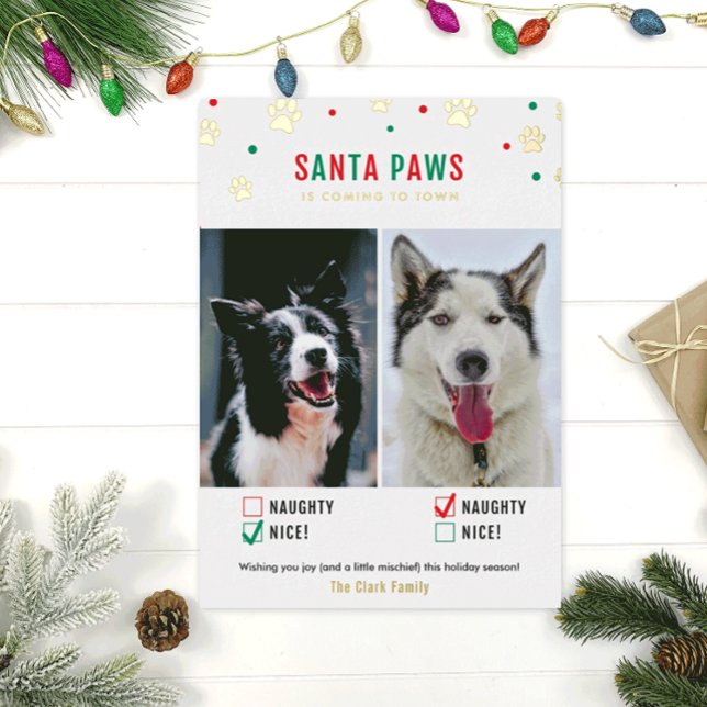 Gold Foil Naughty or Nice Two Dog Photo Card (Creator Uploaded)