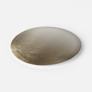 Gold Glam Gilded Brush Modern Elegance Paper Plate
