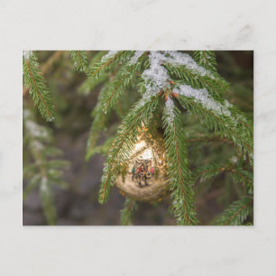 Gold Glass Christmas Ornament On Evergreen Tree Holiday Postcard