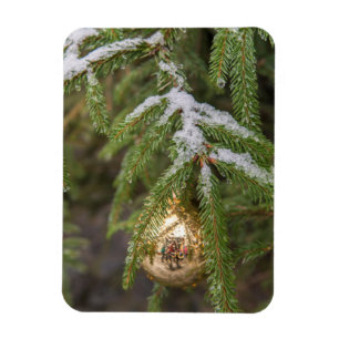 Gold Glass Christmas Ornament On Evergreen Tree Magnet