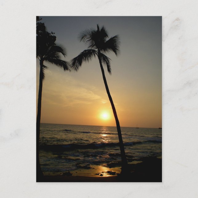 Gold Hawaiian Sunset Postcard (Front)