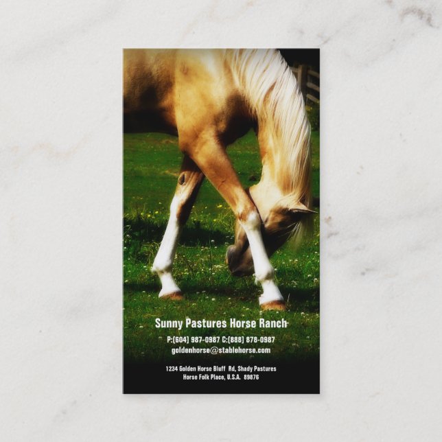 Gold Horse Riding Stables Boarding or Farrier Business Card (Front)