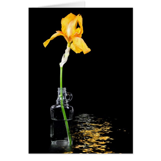 Gold iris in vintage Bottle (Front)