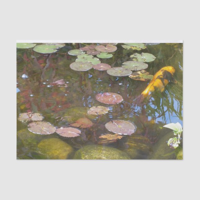 Gold Koi in Lily pond Tissue Paper (Front)