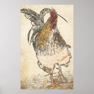 Gold Laced Cockerel Poster
