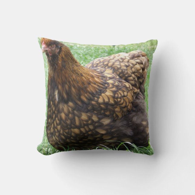 Gold Laced Orpington Cushion, chicken, hen, rooste Cushion (Front)