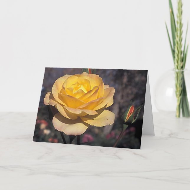 Gold  Medal Rose Card (Front)