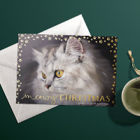 Gold Meowy Christmas Cat Lover Photo