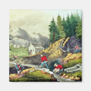 Gold Mining in California Magnet