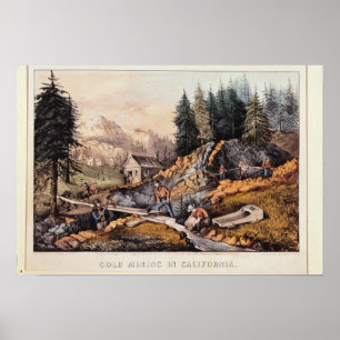 Gold Mining in California Poster