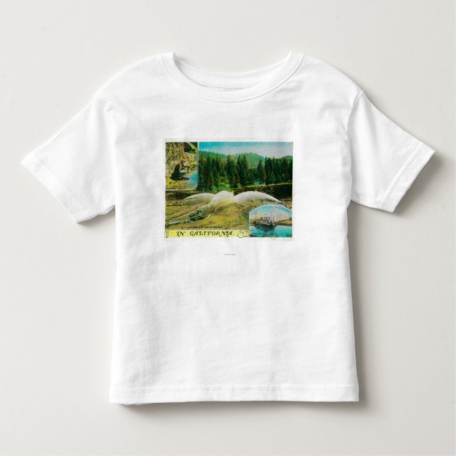 Gold Mining in California StateState Toddler T-Shirt (Front)