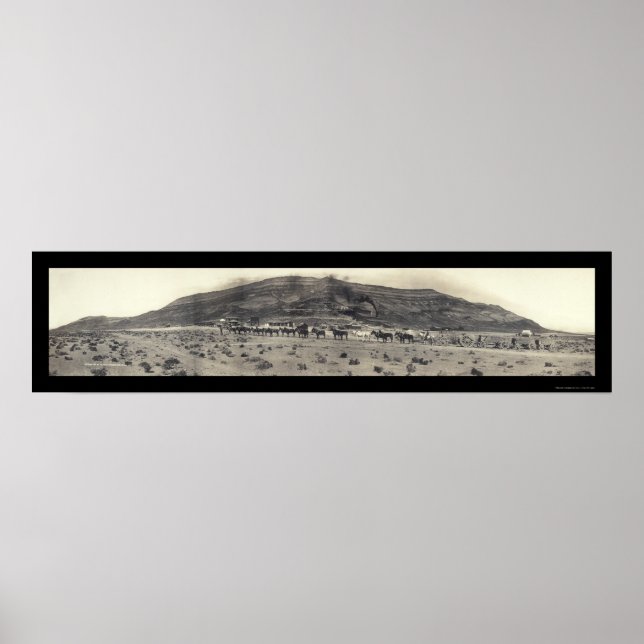 Gold Mining Mill NV Photo 1908 Poster (Front)