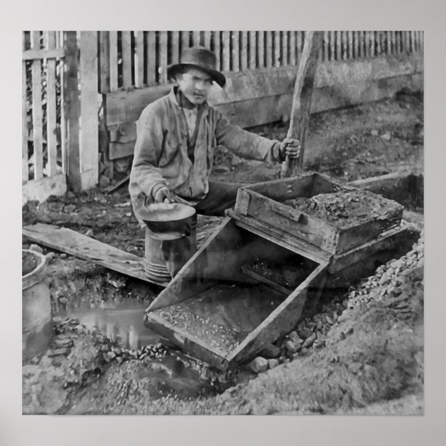 GOLD MINING with a ROCKER BOX c. 1866 Poster (Front)