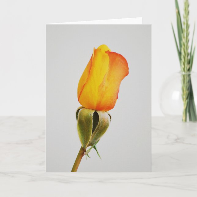 Gold Orange Rose Bud Art Note Card (Front)