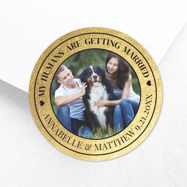 Gold Photo Pet Wedding Save The Date Classic Round Sticker (Dog Photo Pet Gold Wedding Save The Date Classic Round Sticker)
