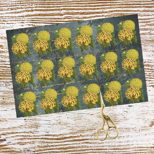 Gold Red Chrysanthemums on Teal Damask n Writing Tissue Paper