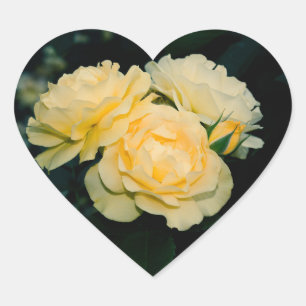 Gold Roses Bouquet Heart Sticker